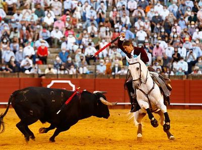 Laga Adu Banteng Kembali Beraksi di Spanyol