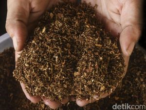 Contoh Komoditas Penting dan Berkontribusi ke Penerimaan Negara