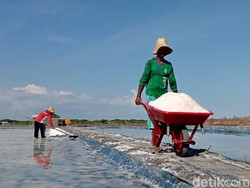 RI Impor 3 Juta Ton Garam, Ini Usulan Asosiasi Petani Agar Tak Rugi