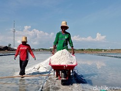 Kasihan Petani Garam! Sudah Kena Anomali Cuaca, Dihantam Impor Pula