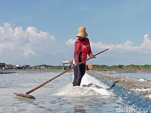 RI Impor Garam 3 Juta Ton, Asosiasi Petani Garam: Terlalu Berlebihan RI Impor Garam 3 Juta Ton, Asosiasi Petani Garam: Terlalu Berlebihan