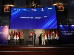 Holding Ultra Mikro Jadi Sorotan Investor, Ini Pemicunya