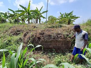 Dipercaya Angker, Kebun Pisang di Mojokerto Ini Ternyata Situs Purbakala
