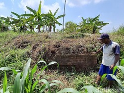 Dipercaya Angker, Kebun Pisang di Mojokerto Ini Ternyata Situs Purbakala