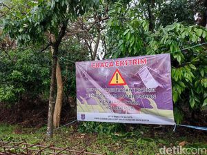 Waspada Cuaca Ekstrem, Warga Depok Diminta Tak Parkir-Jualan di Bawah Pohon Waspada Cuaca Ekstrem, Warga Depok Diminta Tak Parkir-Jualan di Bawah Pohon