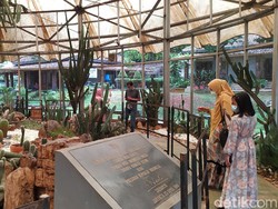 Tak Ada Pengunjung, Satwa di TMII Beranak Pinak