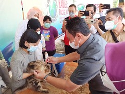 Wagub Kalteng: Penanggulangan Rabies Perlu Pendekatan One Health