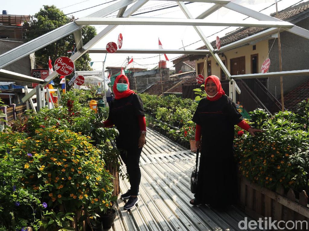 Dipuji Maruf Amin, Kota Bandung Punya Ratusan Lokasi Urban Farming