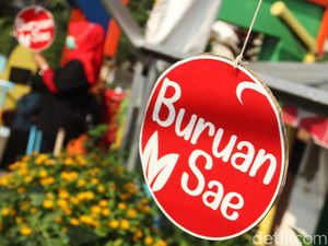 Program Buruan Sae Kota Bandung Dilirik Brasil dan Italia Program Buruan Sae Kota Bandung Dilirik Brasil dan Italia