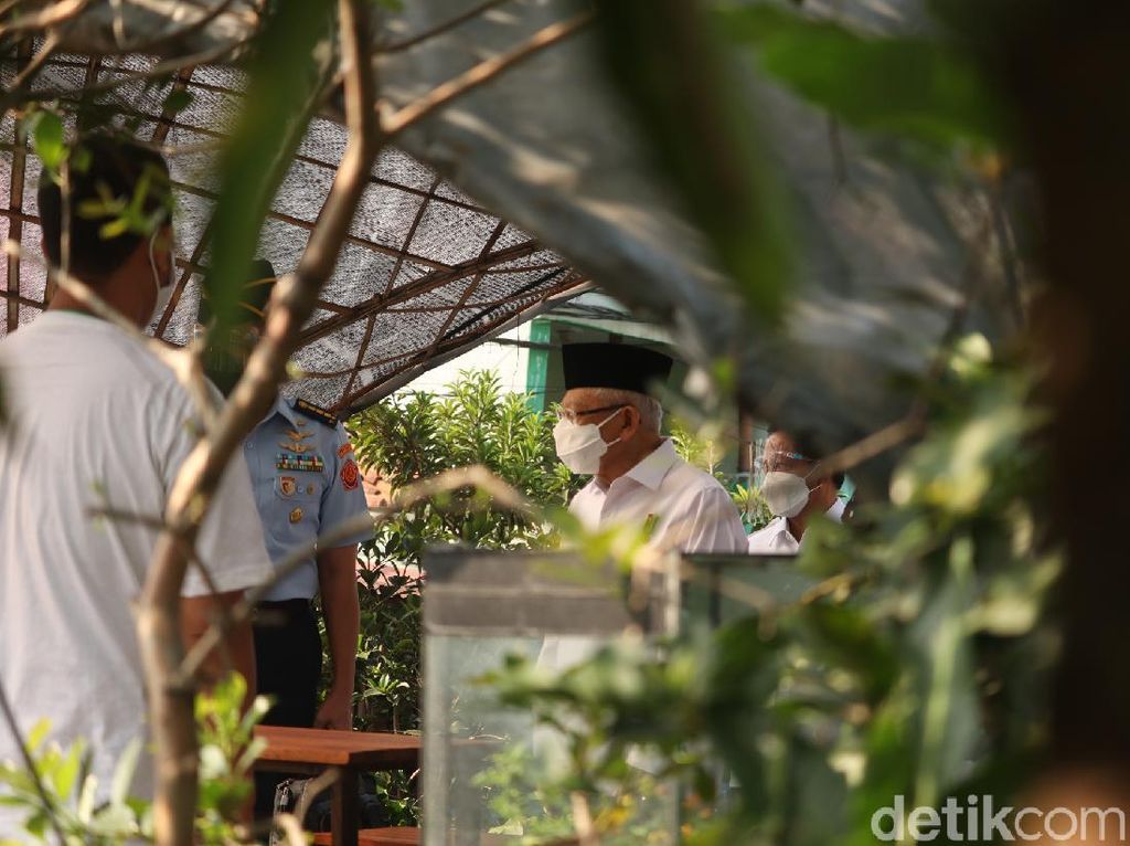 Maruf Amin Puji Eksistensi Urban Farming di Kota Bandung