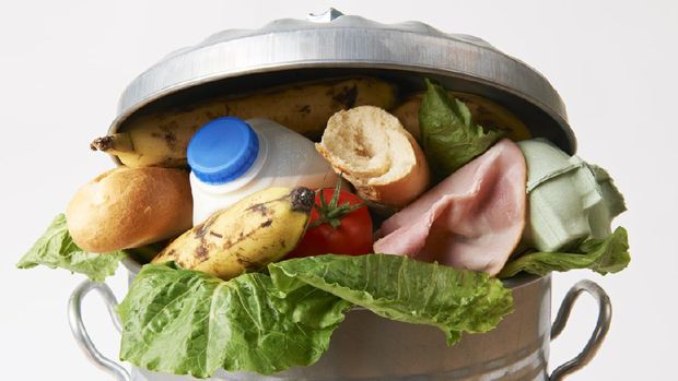 ilustrsi sampah makanan