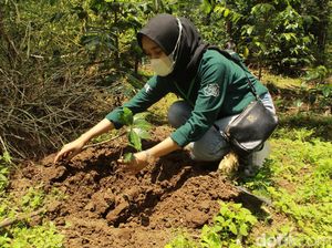 Jelajah Kopi, Ajang Kenalkan Kopi Khas Bandung Selatan