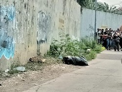 Polisi Selidiki Pembuang Bangkai Anjing di Pinggir Kali Jakbar