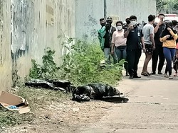 Kantong Sampah di Jakbar Bikin Heboh, Ternyata Berisi Bangkai Anjing