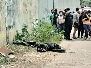 Kantong Sampah di Jakbar Bikin Heboh, Ternyata Berisi Bangkai Anjing Kantong Sampah di Jakbar Bikin Heboh, Ternyata Berisi Bangkai Anjing