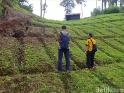 Muncul Retakan Tanah 150 Meter Pascagempa di Brebes, Ancam Permukiman