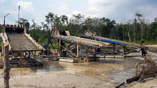 Potret Pemberantasan Tambang Emas Ilegal di Riau