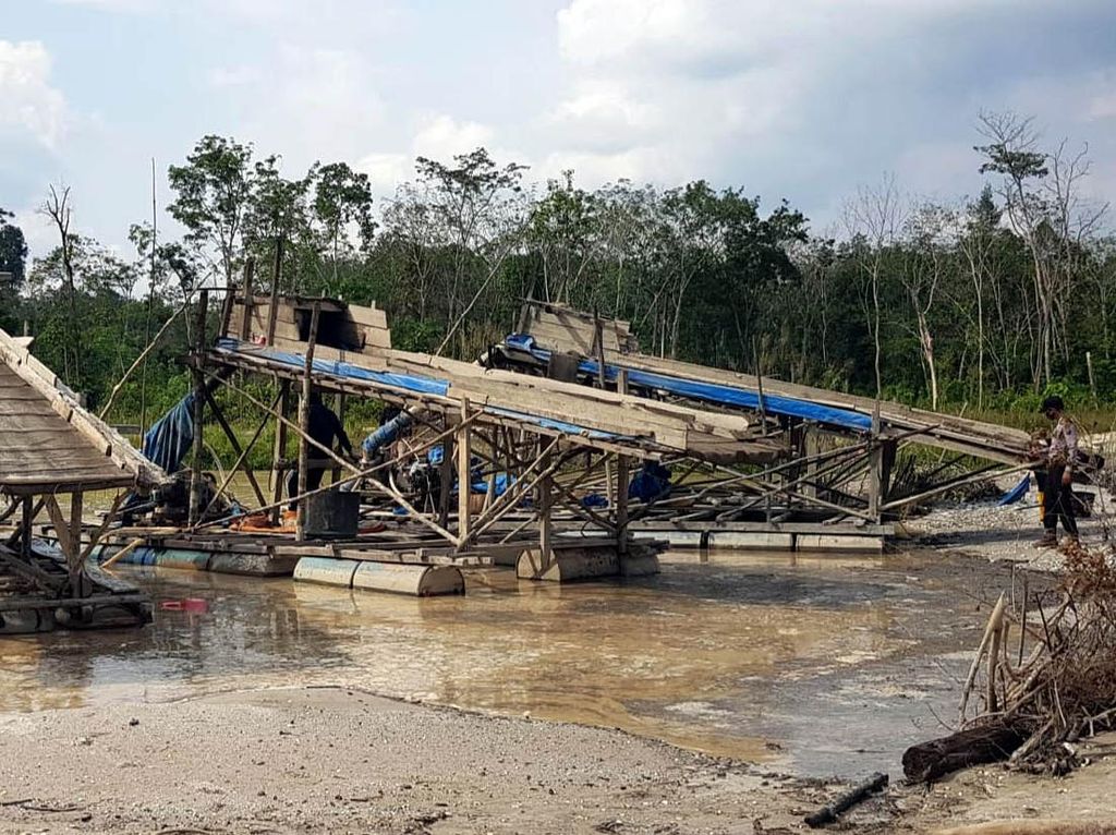 Potret Pemberantasan Tambang Emas Ilegal di Riau Potret Pemberantasan Tambang Emas Ilegal di Riau