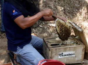 Dorong Produktivitas Kelompok Tani Hutan Dorong Produktivitas Kelompok Tani Hutan