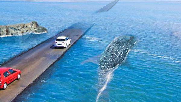 Kamu Bakal Melongo Lihat 7 Jalan Ini, Nggak Percaya?