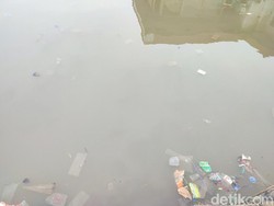 Pemprov Identifikasi Pabrik Sumber Pencemaran Paracetamol di Teluk Jakarta