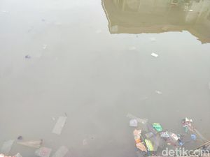 Pemprov Identifikasi Pabrik Sumber Pencemaran Paracetamol di Teluk Jakarta Pemprov Identifikasi Pabrik Sumber Pencemaran Paracetamol di Teluk Jakarta