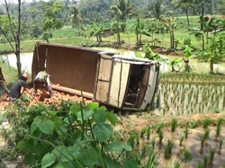 Mobil Bak Terbuka di Purwakarta Terjun ke Sawah, 1 Orang Tewas Terjepit