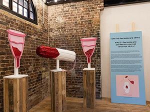 Bye-bye! Satu-satunya Museum Vagina di Dunia Resmi Tutup