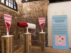 Bye-bye! Satu-satunya Museum Vagina di Dunia Resmi Tutup