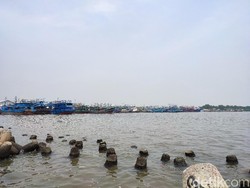 Heboh Temuan Paracetamol Cemari Teluk Jakarta