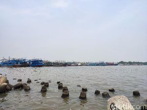 Heboh Temuan Paracetamol Cemari Teluk Jakarta Heboh Temuan Paracetamol Cemari Teluk Jakarta