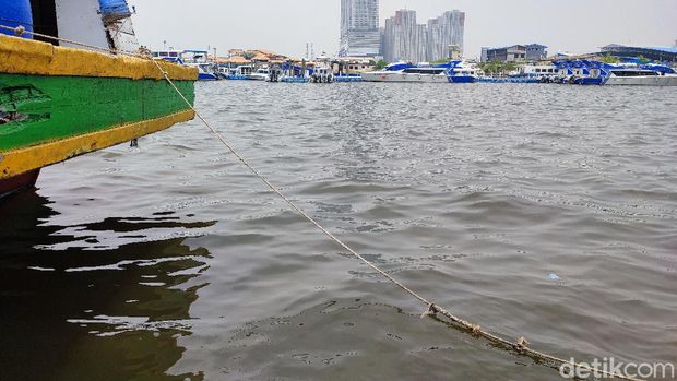 Pemandangan laut di Teluk Jakarta dipantau dari dermaga di Angke. Kabarnya, ini mengandung parasetamol. (Nahda Rizki Utami/detikcom)