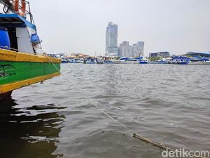 Lihat! Ini Laut Ancol dan Angke Jakarta yang Tercemar Parasetamol Lihat! Ini Laut Ancol dan Angke Jakarta yang Tercemar Parasetamol