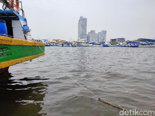 Lihat! Ini Laut Ancol dan Angke Jakarta yang Tercemar Parasetamol