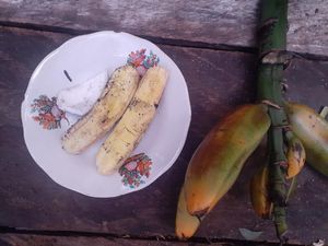 Pisang Tongkat Langit, Pisang Endemik Papua Banyak Manfaat