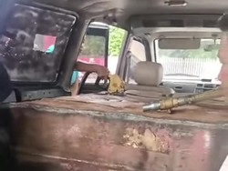 Polisi Cek Viral Mobil Bertangki Siluman Isi BBM Diprotes Keras Sopir Truk