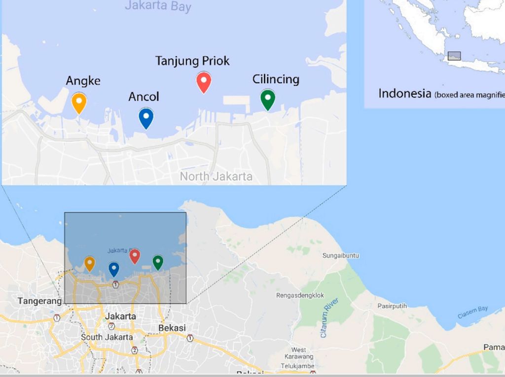Pencemaran Paracetamol di Teluk Jakarta yang Jadi Sorotan
