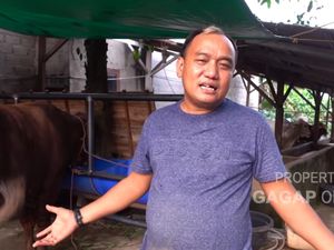 Aziz Gagap Jarang Tampil di TV, Kini Sibuk Ternak 300 Kambing dan Sapi