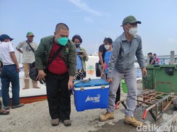 DLH DKI Ambil Sampel Air Laut Tercemar Paracetamol untuk Uji Lab