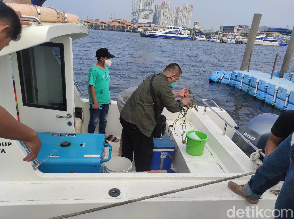 Pabrik Sumber Pencemaran Paracetamol di Teluk Jakarta Bertambah Pabrik Sumber Pencemaran Paracetamol di Teluk Jakarta Bertambah