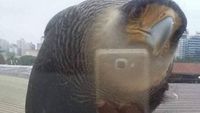 Hati-hati! Kalau Lihat Foto Ini Sekilas Bisa Salah Persepsi