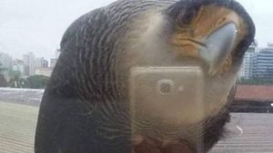 Hati-hati! Kalau Lihat Foto Ini Sekilas Bisa Salah Persepsi