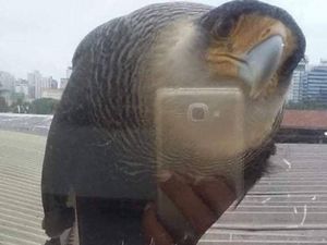 Hati-hati! Kalau Lihat Foto Ini Sekilas Bisa Salah Persepsi