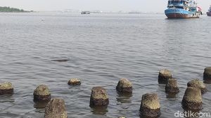Penampakan Muara Angke yang Airnya Tercemar Paracetamol
