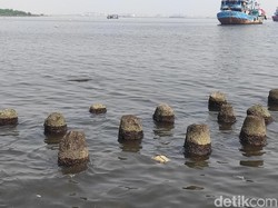 Disebut Tercemar Paracetamol, Amankah Wisata di Teluk Jakarta?