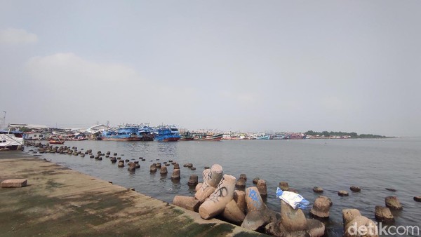 Kondisi Muara Angke yang Airnya Tercemar Paracetamol Warga sekitar mengaku tak mencium adanya bau obat di sekitar laut Muara Angke. Justru warga hanya mencium adanya aroma limbah solar.
