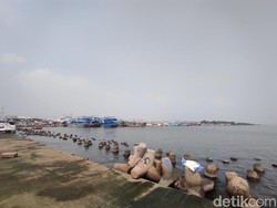 DLH DKI Ambil Sampel Air Laut Jakarta yang Mengandung Paracetamol