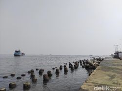 Sumber Paracetamol di Teluk Jakarta Masih Gelap, Siapa Saja Tersangkanya?