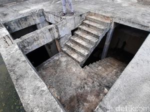 Mangkrak Gegara Korupsi, Masjid Sriwijaya Jadi Sarang Kobra-Babi Mangkrak Gegara Korupsi, Masjid Sriwijaya Jadi Sarang Kobra-Babi