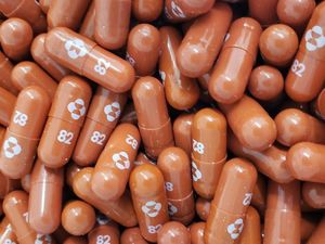 Menkes Budi Paparkan Rencana Penggunaan Obat Molnupiravir di 2022 Menkes Budi Paparkan Rencana Penggunaan Obat Molnupiravir di 2022